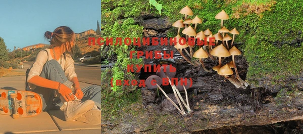 ешки Алексеевка