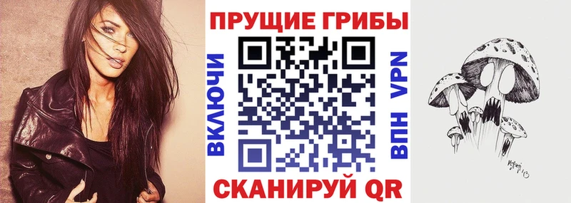 Псилоцибиновые грибы Cubensis  Усть-Лабинск 