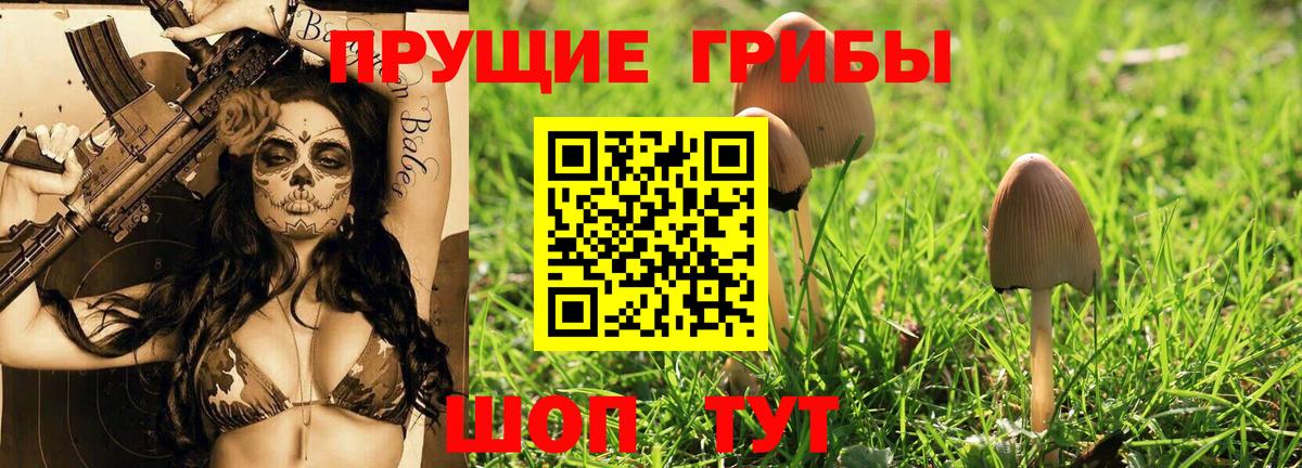 Псилоцибиновые грибы Cubensis Усть-Лабинск